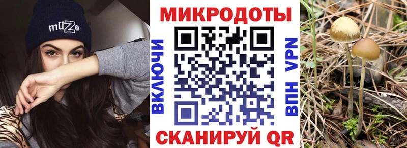 kraken зеркало  Невель  Галлюциногенные грибы Psilocybe 