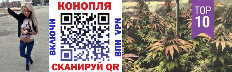 Бошки Шишки планчик  KRAKEN tor  Невель  купить  цена 